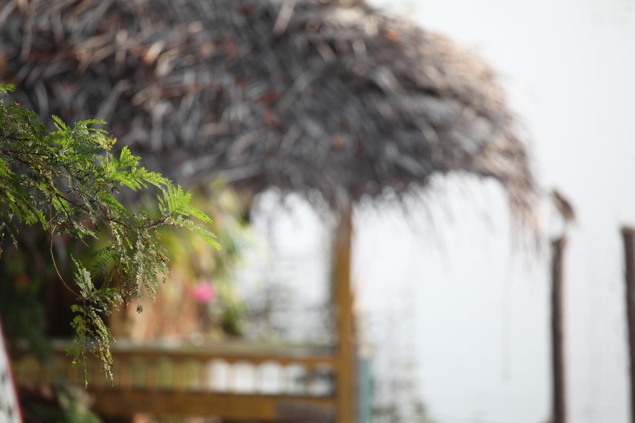 Malayalam Lake Resort アーラップーザ県 エクステリア 写真